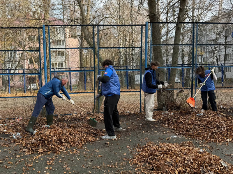 Депутаты с жителями общими усилиями навели порядок в ставропольских дворах