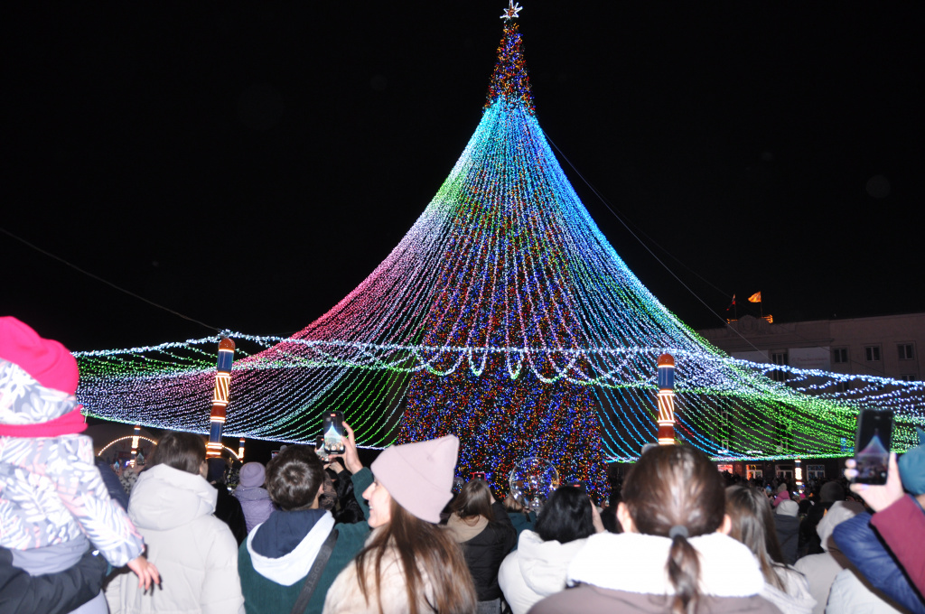 Главная новогодняя елка Ставрополя зажгла огни