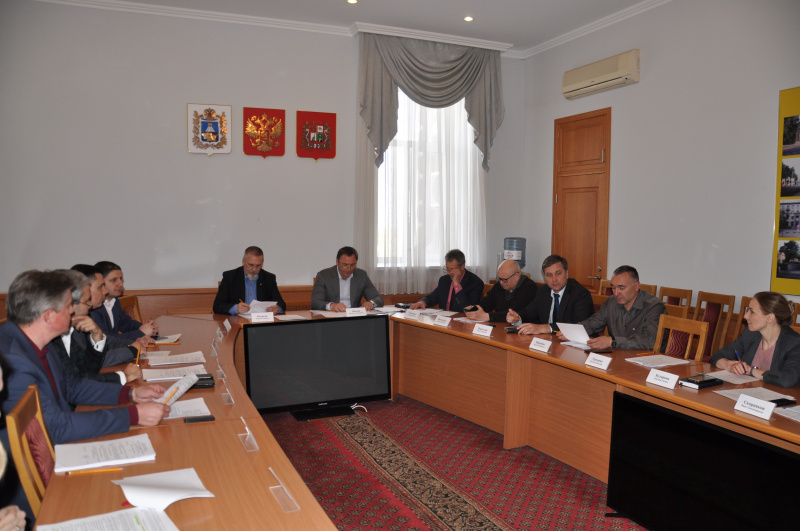 О бездомных кошках и развитии коммунальной инфраструктуры