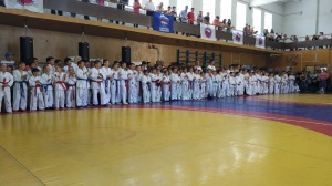 Турнир по рукопашному бою