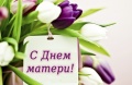 Поздравление  председателя Ставропольской городской Думы Георгия Колягина с Днём матери 