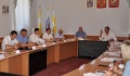 Транспортную безопасность мостовых сооружений и состояние городских лесов обсудили в городской Думе
